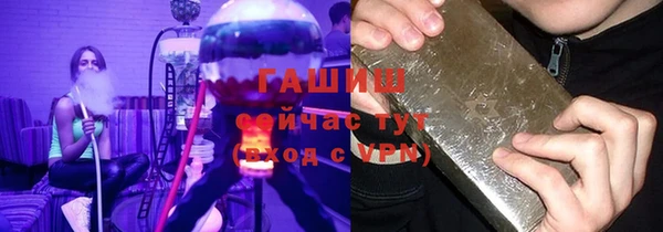 индика Горняк