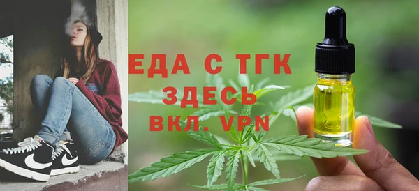 индика Горняк