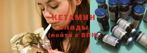 индика Горняк