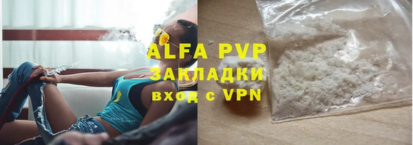 индика Горняк