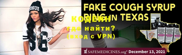 индика Горняк