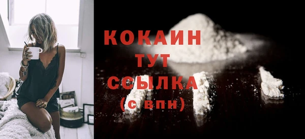 индика Горняк