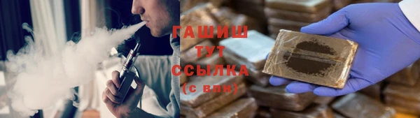 индика Горняк