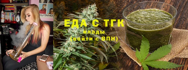 индика Горняк