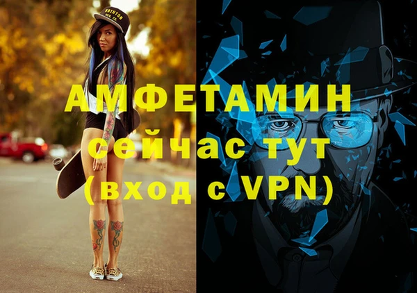 индика Горняк