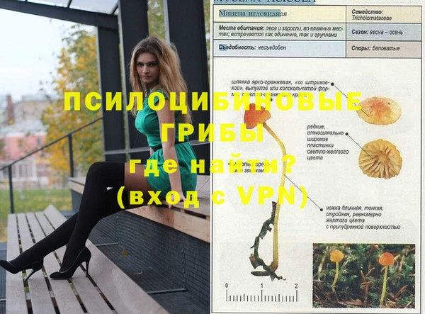 соль курить ск Горно-Алтайск