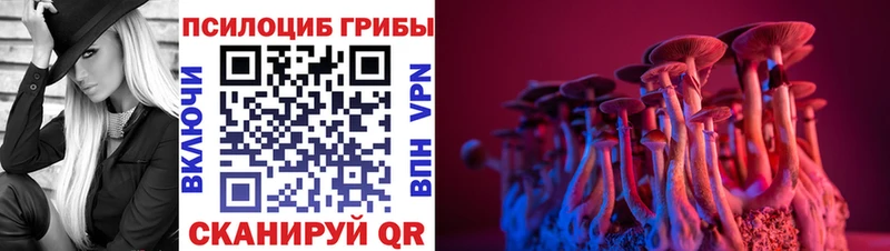 Галлюциногенные грибы прущие грибы  Монино 